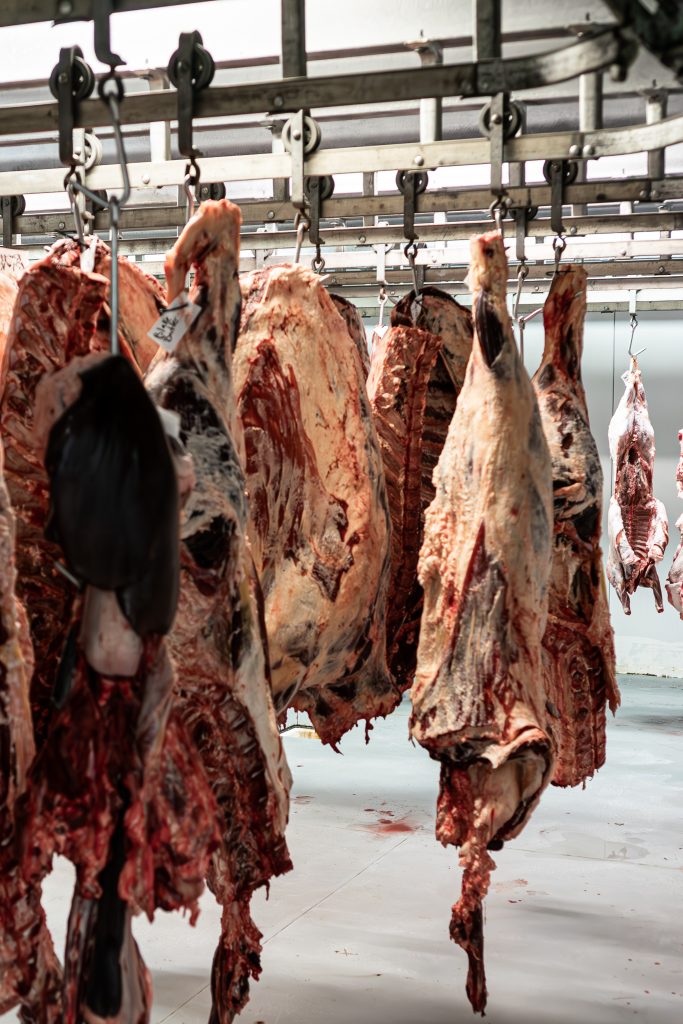 BEEF-10