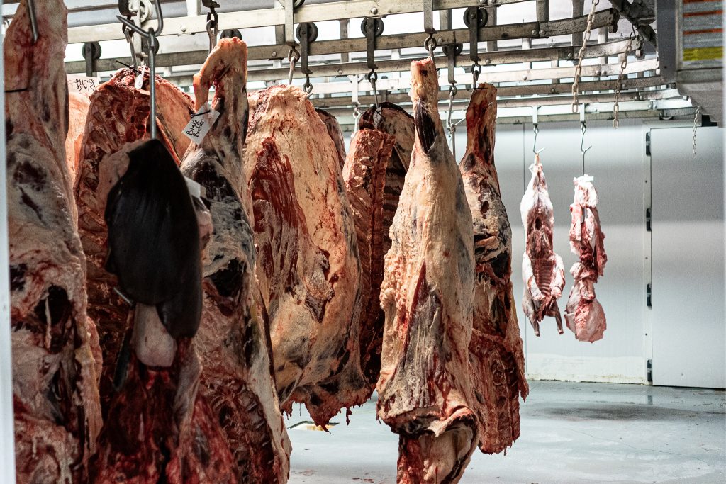 BEEF-9